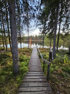 laituri
