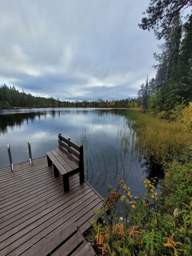 Laituri
